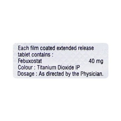 Febudim Er 40mg Strip Of 10 Tablets