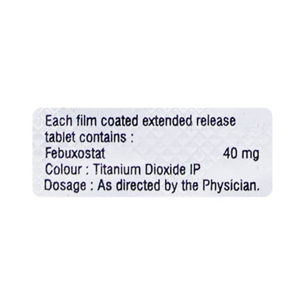 Febudim Er 40Mg Strip Of 10 Tablets