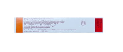 Influvac Tetra 2025 Pre Filled Syringe Of 0.5ml Suspension For Vaccine
