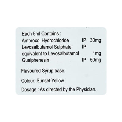 Pulmoclear Ls Bottle Of 100ml Syrup