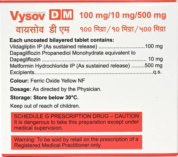Vysov Dm 100/10/500mg Strip Of 10 Tablets