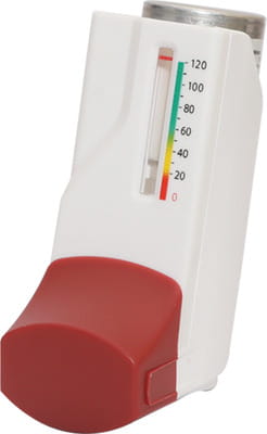 Budamate G 200mcg Hfa Packet Of 120 Metered Dose Inhaler