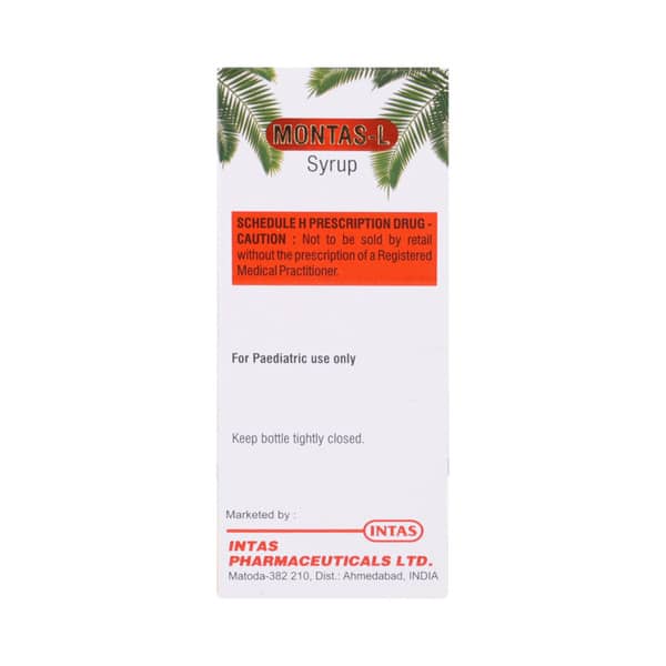 Montas L Mix Fruit Flavour Bottle Of 60ml Syrup