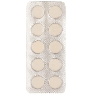 Instaraft Peppermint Flavour Strip Of 10 Chewable Tablets