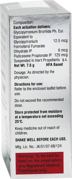 Formoflo G 120Md Box Of 7.6Gm Metered Dose Inhaler