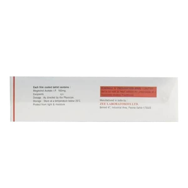 Megte 160 Mg Tablet 10