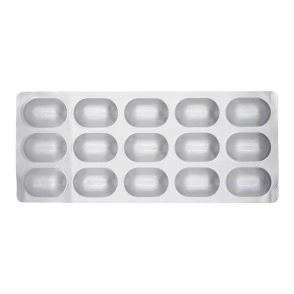 Ginkocer Forte Plus Strip Of 15 Capsules